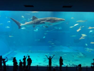 ＧＷ　沖縄　２日目　ちゅら海水族館＆青の洞窟