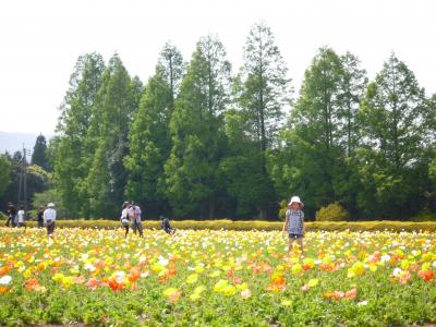 黄金週間は宮崎・熊本に行ったばい（２日目）