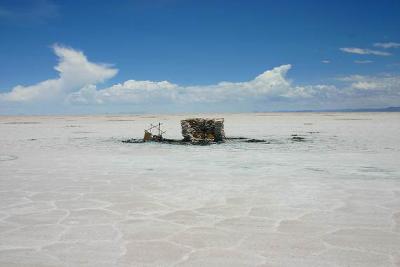 2008年に発生したのウユニ塩湖での13名の死亡事故の原因
