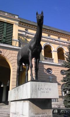 ブダペストにゃ競馬・温泉・メシが揃ってます！