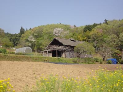 田舎　満喫！！