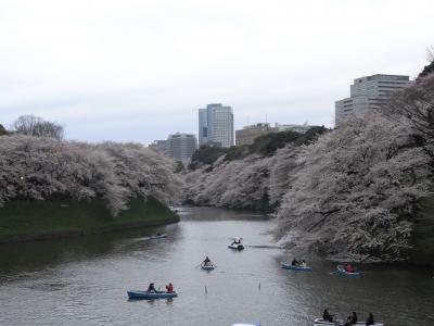 2010.4.4＠千鳥ヶ淵でお花見