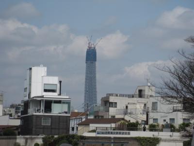 今日のスカイツリー