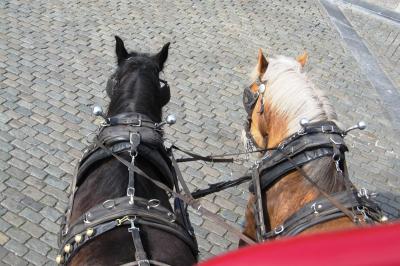 2010春、ドイツ・オランダ・ベルギーの旅(42/68)：4月19日(9)：アントワープ、馬車に乗って市内散策、ブラボー像