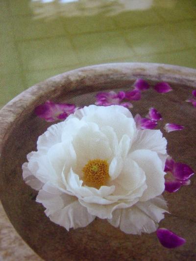 出張でも美味しい物を食べたいの!「札幌」編その9