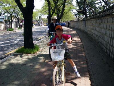 釜山から慶州へ日帰りプチトリップ(サイクリング)