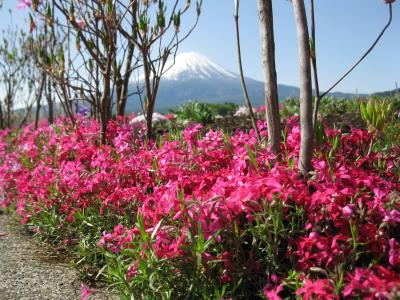 こんな景色が見たくって！！②河口湖畔でのんびり