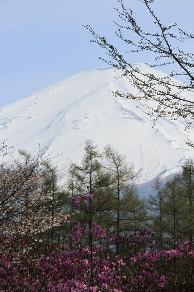 2010・春　富士五湖の旅 ◆ 2日目　富士山5合目と河口湖