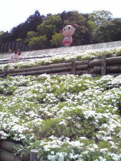 GW~安・近・短~その②