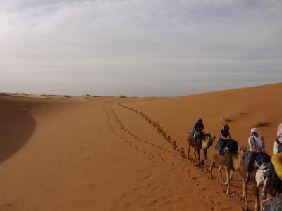 ☆モロッコ旅行記　2010　～マラケシュ編～☆