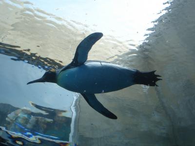 ゴールデンウイーク北海道の旅 <3日目>