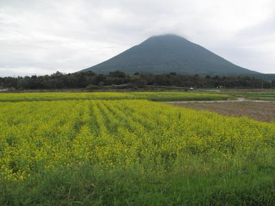 早春の鹿児島一泊旅行