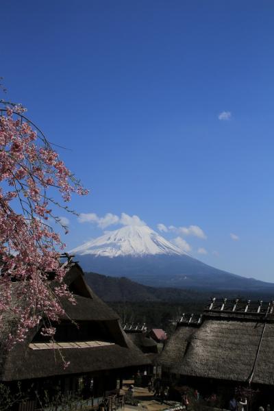 2010・春　富士五湖の旅 ◆ 3日目　西湖と身延山