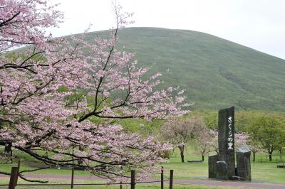  2010年春、　伊豆旅行「伊東汐吹公園、大室山、城が崎海岸」