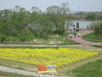 子連れで初めての新潟旅（後半）～ホテル日航新潟・ふるさと村～