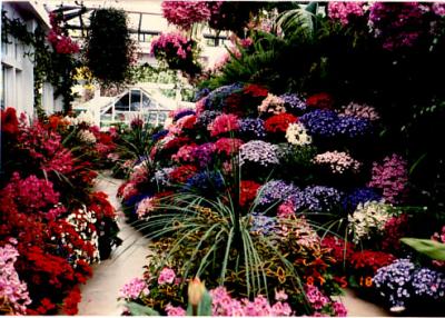 花の街、ビクトリア　（ブリテイシュ.コロンビア州　カナダ）　６月　　２０１０年