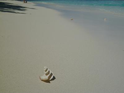  ?1◆ヴィルリーフ◆ソーダの海に浮かぶ島へ