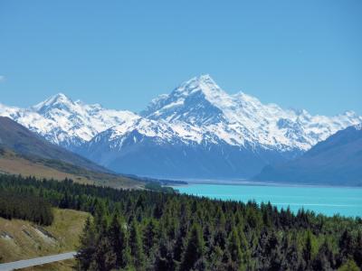 Kia Ora! Aotearoaでハネムーン⑧ 気力のみ?!アオラキへの道編