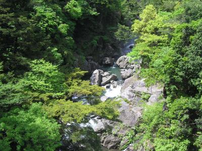 鳩ノ巣ハイキング・ツアー