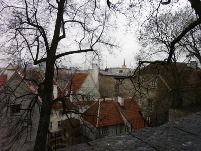 ふらっと初一人海外☆ ～腹黒いと言われてもうるっとくる４日目～