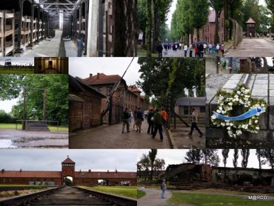 ぐるっとバルト海'09（ポーランド編）