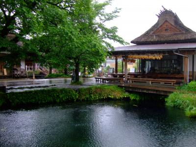 山中湖・忍野八海・鳴沢風穴