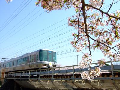 2009春の関西　【芦屋・夙川・阪神競馬場】