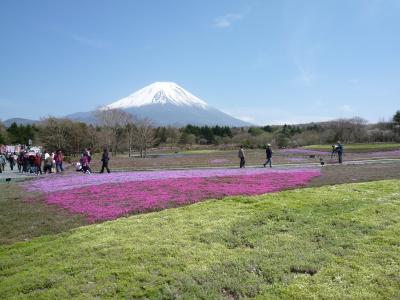 富士芝桜まつり