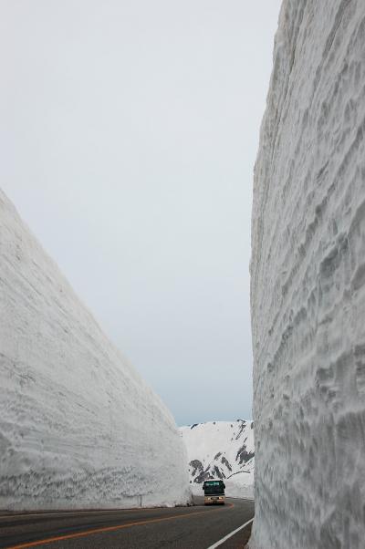 立山黒部アルペンルート・憧れの雪の大谷（初めてのバスツアー）