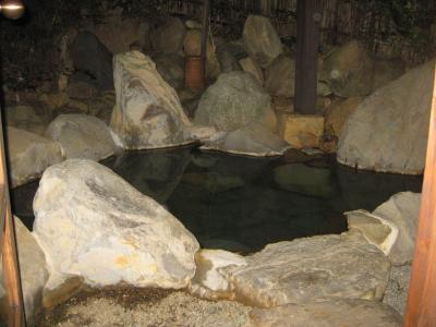 天草1泊目 ~露天風呂付き離れ宿とイルカを求めて~