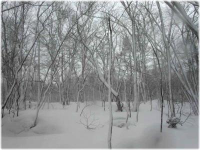 安比高原でスノーシュー