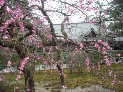 わらわら金沢晴れのち雨旅（後編）