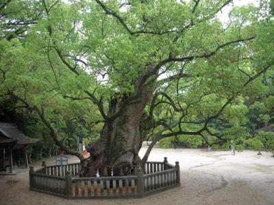 ☆　瀬戸内城めぐり　３日目　大山祗神社と今治城編　☆