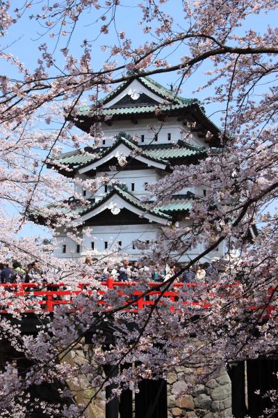 5月2日『弘前城』