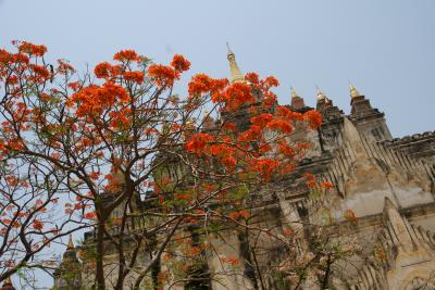 ミャンマー旅行（バガン3日目）