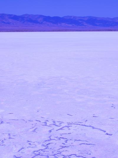 Carrizo Plain National Monument　白い塩湖　　