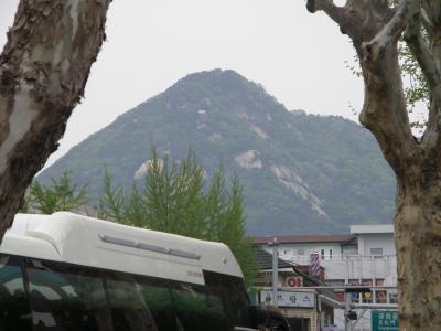 練馬の材木屋の半島縦断記