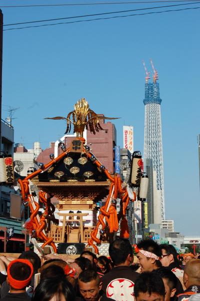 三社祭　お神輿 令和七年(2025年)三社祭 | 浅草くらぶ