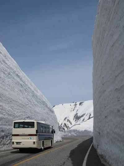 雪の大谷ウォーク☆