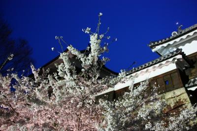 桜咲く信州へ(3) 上田城千本桜まつり～2010年4月～