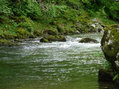 兄を訪ねてイギリスへ、癒しを求めて湖水地方編②