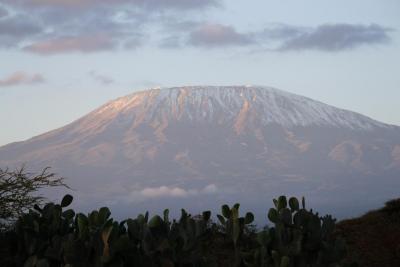 ケニヤ10日間の旅 ～アンボセリ～