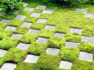 2010/05 東福寺の市松模様◇◆◇◆