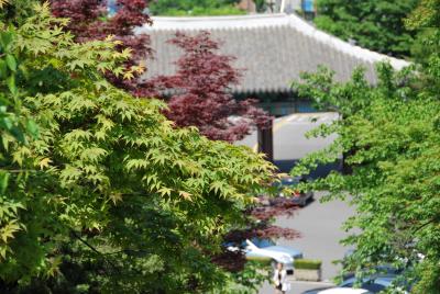 またまたソウルの旅です