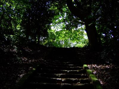 海＋山＋蝶＝大磯／前編 海から山へ～緑に耳を澄ませば～