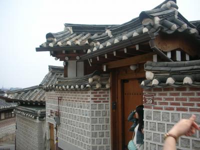 練馬の材木屋半島縦断記後編