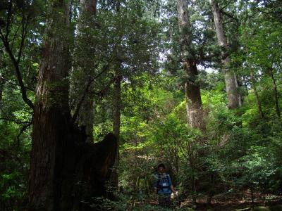 縄文杉に会いに… (2日目・登山)