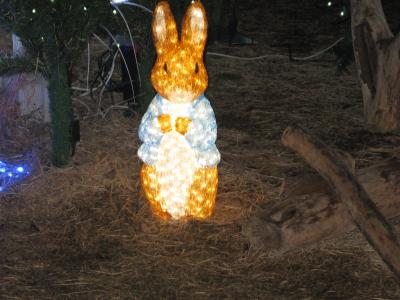 大阪~クリスマス・イルミネーション~