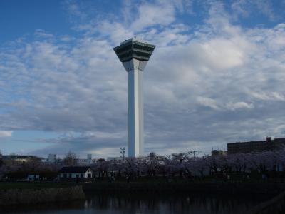 五稜郭公園の桜～2010年5月