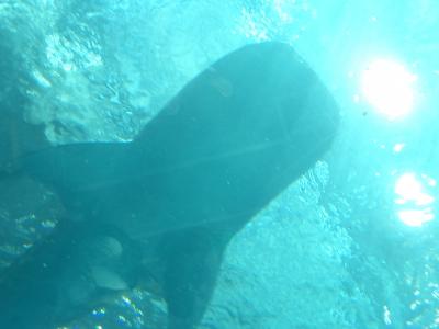 友達と再会　沖縄にて。